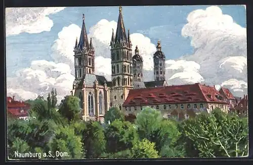 AK Naumburg / Saale, Ansicht vom Dom