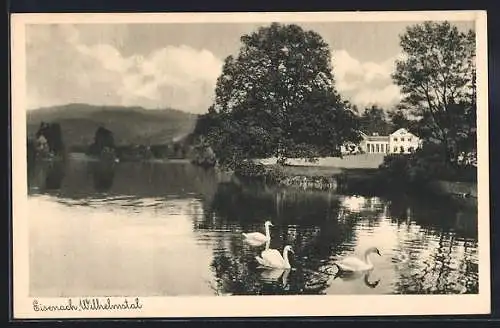 AK Eisenach / Thüringen, Schwäne auf dem See