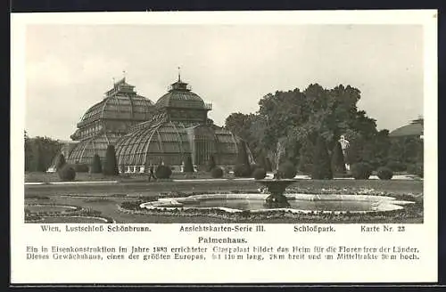 AK Wien, Lustschloss Schönbrunn, Schlosspark, Palmenhaus