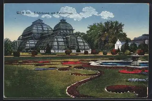 AK Wien, Schönbrunn mit Palmenhaus