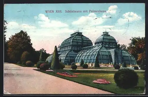 AK Wien, Schönbrunn mit Palmenhaus