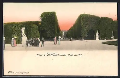AK Wien, Schönbrunn, Allee mit Spaziergängern