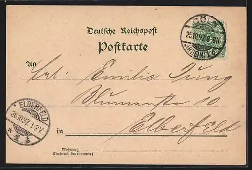 Lithographie Köln, Der Dom, Rathaus, Flora, Denkmal