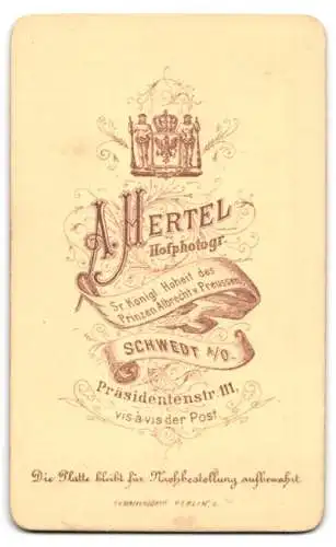 Fotografie A. Hertel, Schwedt a. O., Präsidentenstr. 111, Kleiner Junge in modischer Kleidung