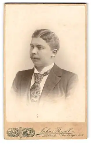 Fotografie Julius Rogall, Lübeck, Beckergrube 9, Bürgerlicher mit gemusterter Krawatte im Portrait