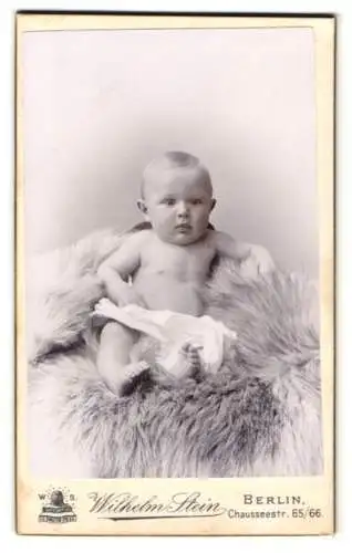 Fotografie Wilhelm Stein, Berlin, Chausseestr. 65, Niedliches Kleinkind auf Fell sitzend