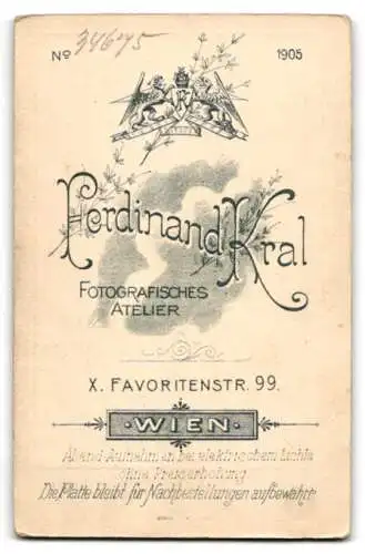 Fotografie Ferdinand Kral, Wien, Favoritenstr. 99, Portrait einer Dame mit Spitzenkragen