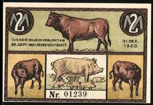 Notgeld Süderbrarup 1920, 2 Mark, Viehhandlung Johs. Vogt mit Bauern und Tieren