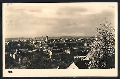 AK Wels /O. Oe., Totalansicht im Frühling