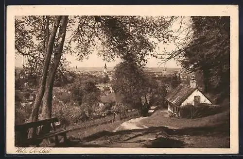 AK Wels /O. Oe., Ortspartie mit Blick zur Stadt