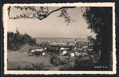 AK Wels /O. Oe., Ortsansicht von einer Anhöhe