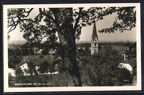 AK Weisskirchen bei Wels, Totalansicht mit Kirchturm