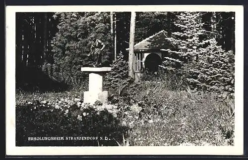 AK Stranzendorf /N. D., Erholungsheim, Waldpartie mit Statue