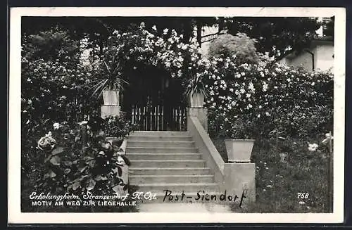 AK Stranzendorf /N. Öst., Erholungsheim, Treppe am Weg zur Liegehalle