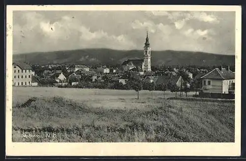 AK Stockerau, Panorama mit Kirche