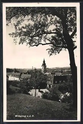 AK Wilhering a. d. Donau, Teilansicht mit Kirchturm