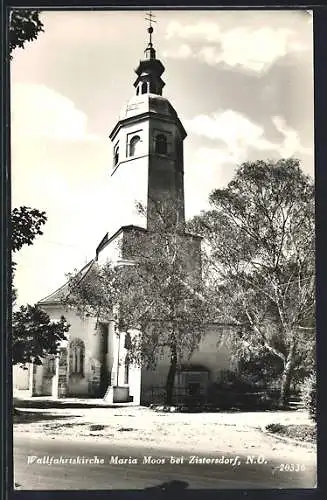 AK Zistersdorf /N. Ö., Wallfahrtskirche Maria Moos im Sonnenschein