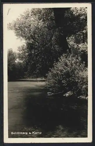 AK Schönberg a. Kamp, Flusspartie mit Ruderboot