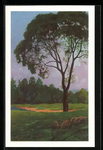 Künstler-AK sign. Fried Pfeifer: eine Landschaft mit Scharfen