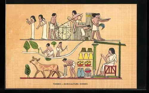 AK Thebes, Agriculture Scenes