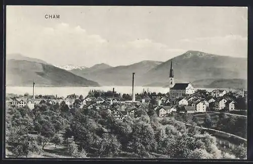 AK Cham, Ortsansicht mit See und Bergen