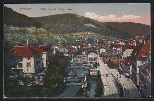 AK Wildbad / Schwarzwald, Blick von der Olgastrasse