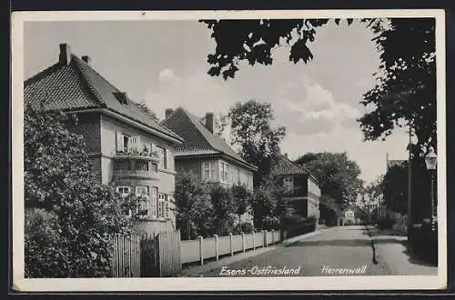 AK Esens, Partie am Herrenwall