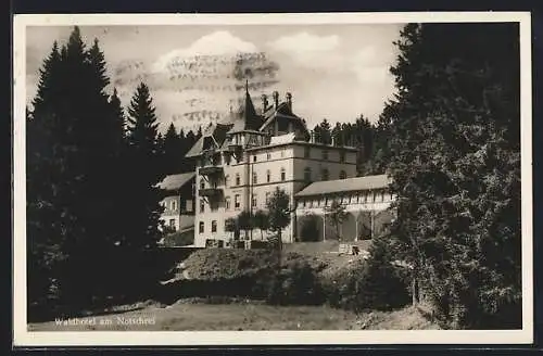 AK Notschrei /Schwarzwald, Waldhotel am Notschrei
