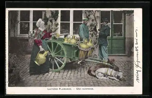 AK Laitière Flamande, Une Surprise