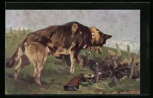 Künstler-AK Sanitätshund entdeckt in einer Grube einen Verwundeten