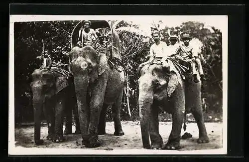 AK Arbeitselefanten im Einsatz