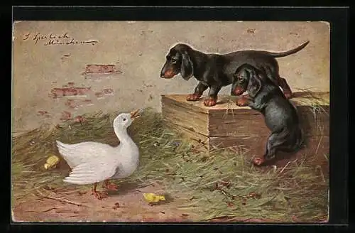 AK zwei Dackel vor einer Gans