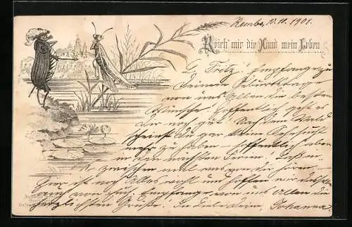 Lithographie Maikäfer macht einem Grashüpfer Avancen