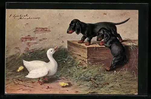 AK Zwei junge Dackel beäugen eine Gans mit Küken