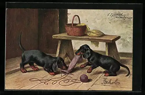 Künstler-AK Zwei Dackel machen sich über einen Strickstrumpf her