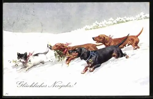 AK Drei Dackel und Katze im Schnee, Neujahrsgruss