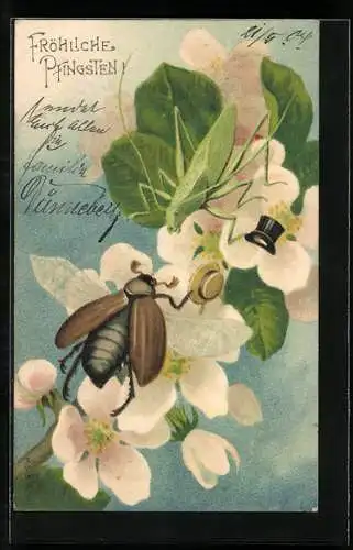 AK Maikäfer vor blühenden Blumen, Zylinder, Pfingsten