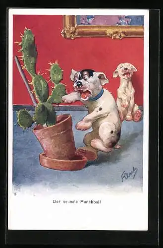 Künstler-AK Kupoupou, Cheilio inermis, Zigarrenlippfisch