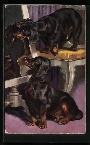AK Zwei Dackel blicken gebannt in einem Toiletten-Spiegel