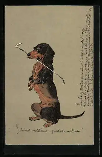 AK Dackel mit Reitgerte