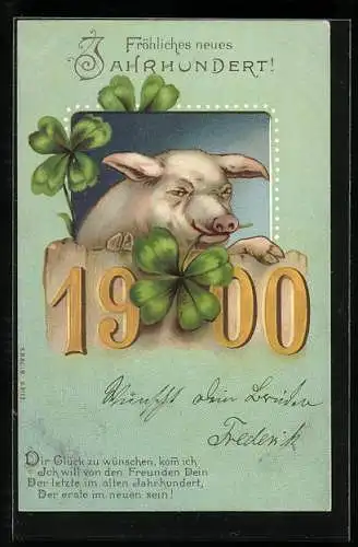 AK Jahreszahl 1900 mit Glücksschwein und Kleeblättern