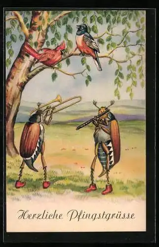 AK Zwei Maikäfer spielen Posaune und Querflöte unter einem Baum mit Singvögeln, Pfingstgruss