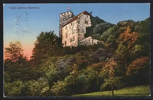 AK Habsburg, Blick auf das Schloss