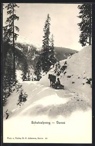 AK Davos, Pferdeschlitten auf dem Schatzalpweg