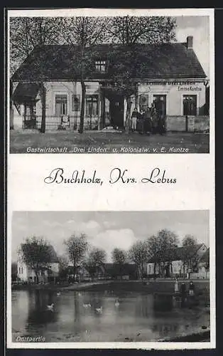 AK Buchholz /Lebus, Gastwirtschaft Drei Linden u. Kolonialwaren v. E. Kuntze