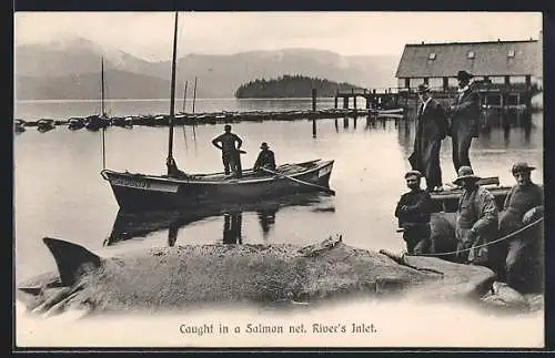 AK Rivers Inlet, Caught in a Salmon net, Fischer mit gefangenem Wal
