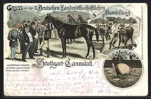 Lithographie Stuttgart-Cannstatt, X. Deutsche Landwirtschaftliche Ausstellung, Zuchtpferd, Sau mit Ferkeln