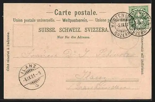 Lithographie Hertenstein, Pension Hertenstein und Dampfer, Panorama mit Pilatus