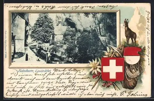 Lithographie Solothurn, Einsiedelei, Passepartout mit Gemse und Bergsteigerausrüstung