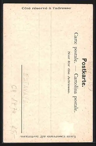 AK Estavayer-le-Lac, A Travers le Vieux Stavayer, Piece 3 Parties & 7 Tableaux